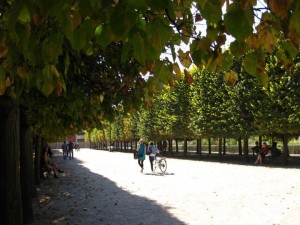 Un Jardin in Paris