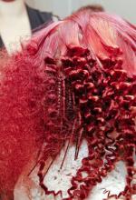 AVEDA Event Images